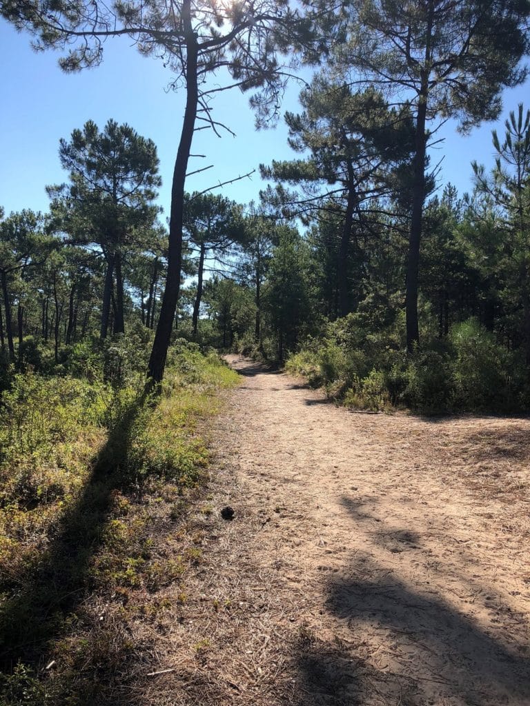 course à pieds