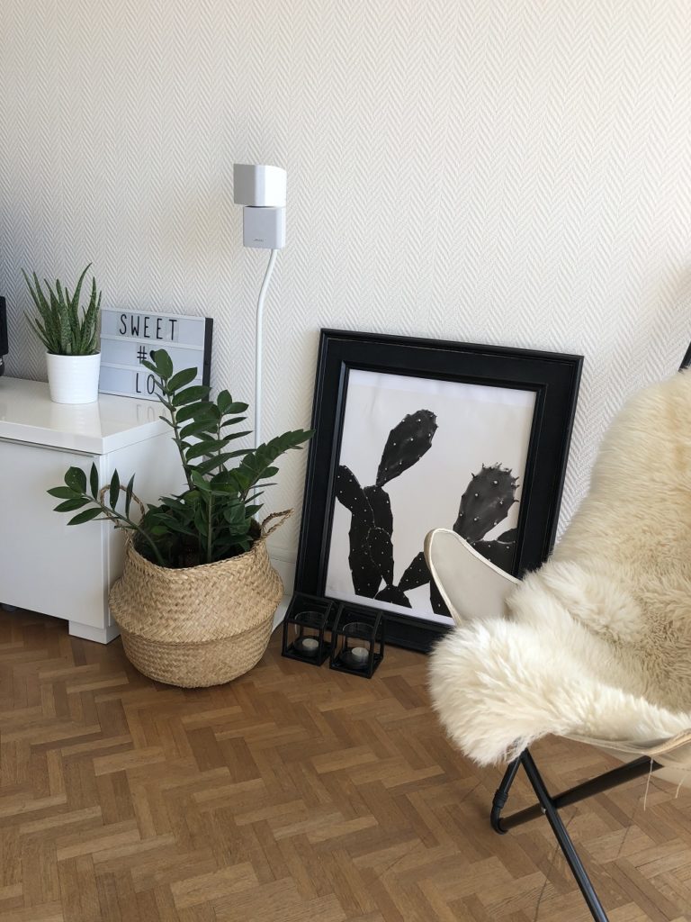 decoration plantes vertes