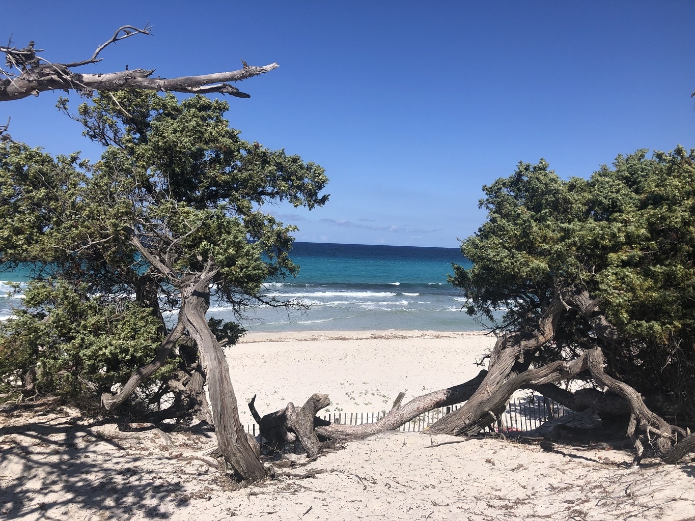 2 jours en haute corse plage saleccia