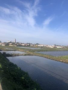 randonnée à noirmoutier