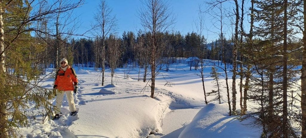 semaine en laponie finlandaise