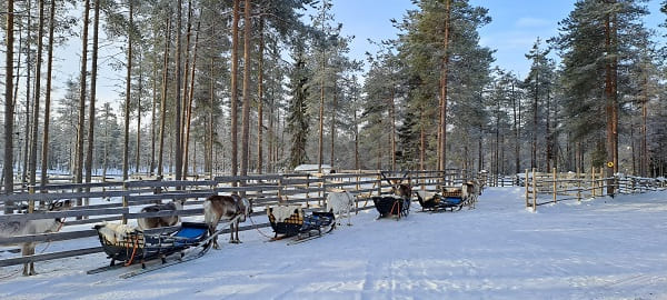 semaine en laponie finlandaise