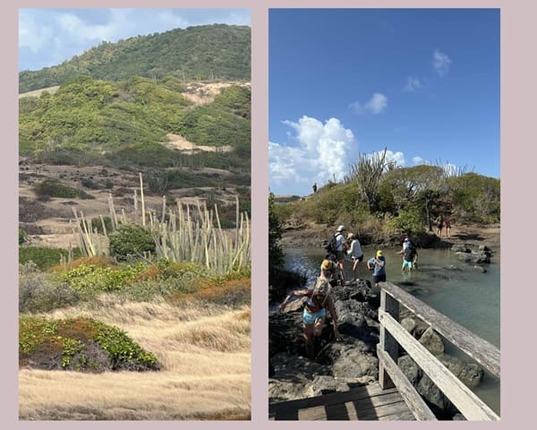 randonnee-martinique